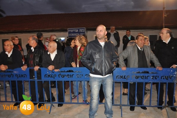 tree light 1208 (31).JPG